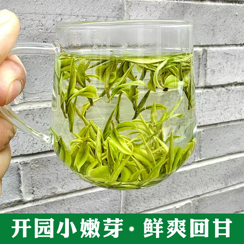 安吉白茶兰花香茶叶2025年新茶口感鲜爽回甘高山明前特级绿茶