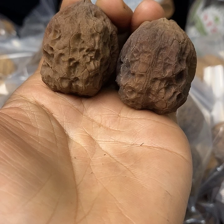 核桃云南铁核桃基地65