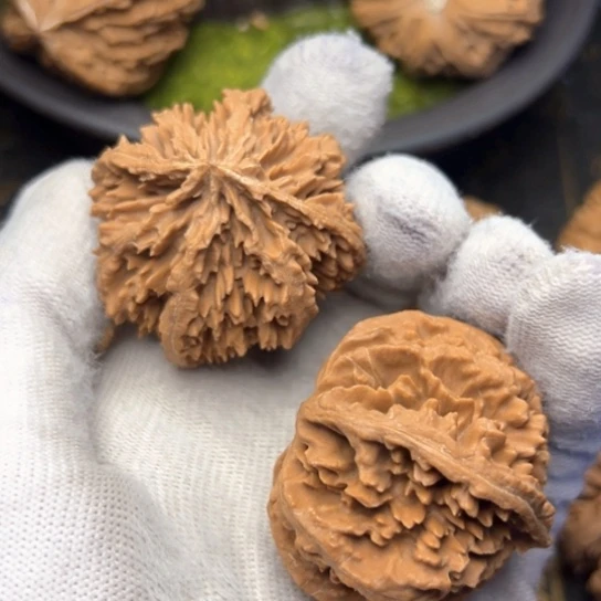 文玩核桃把件秦岭核桃40