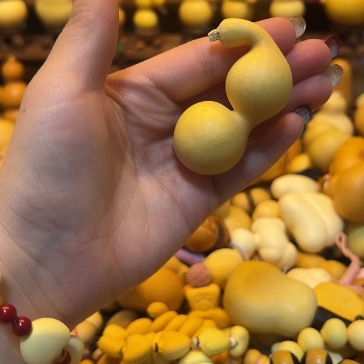 小***女大叶紫檀（黑酸枝木类）