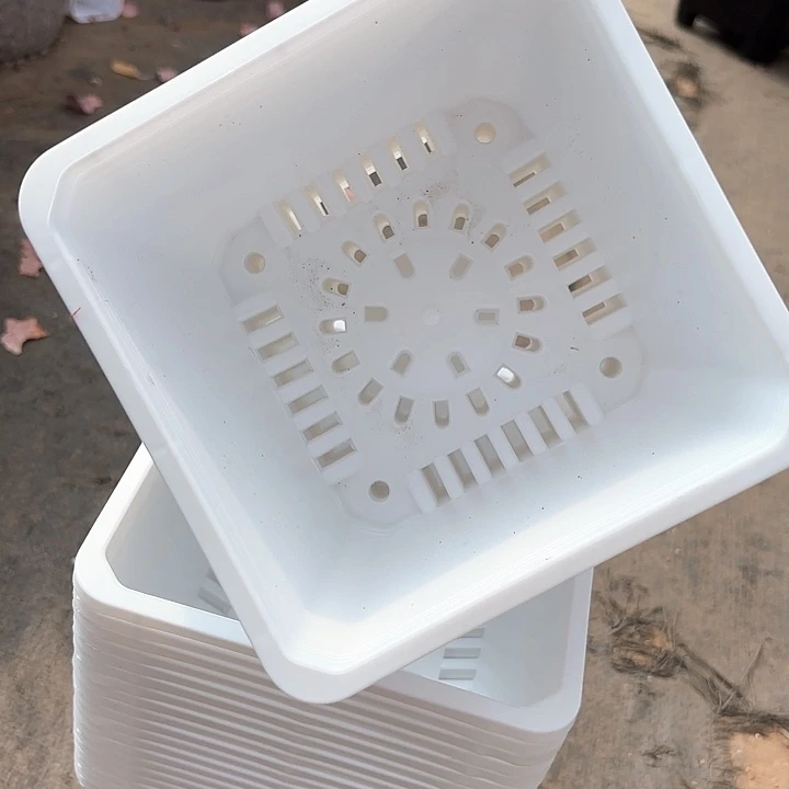 160白方盆15公分高11公分30个