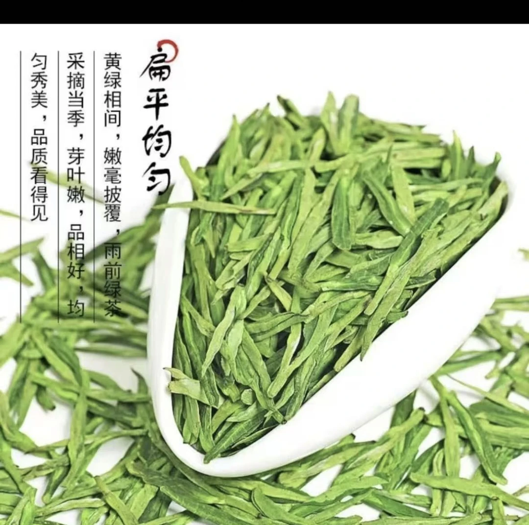 2024年龙井新茶绿茶茶叶250g