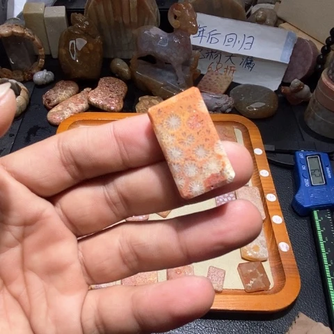 【闪购商品】硅化玉颈饰未镶嵌