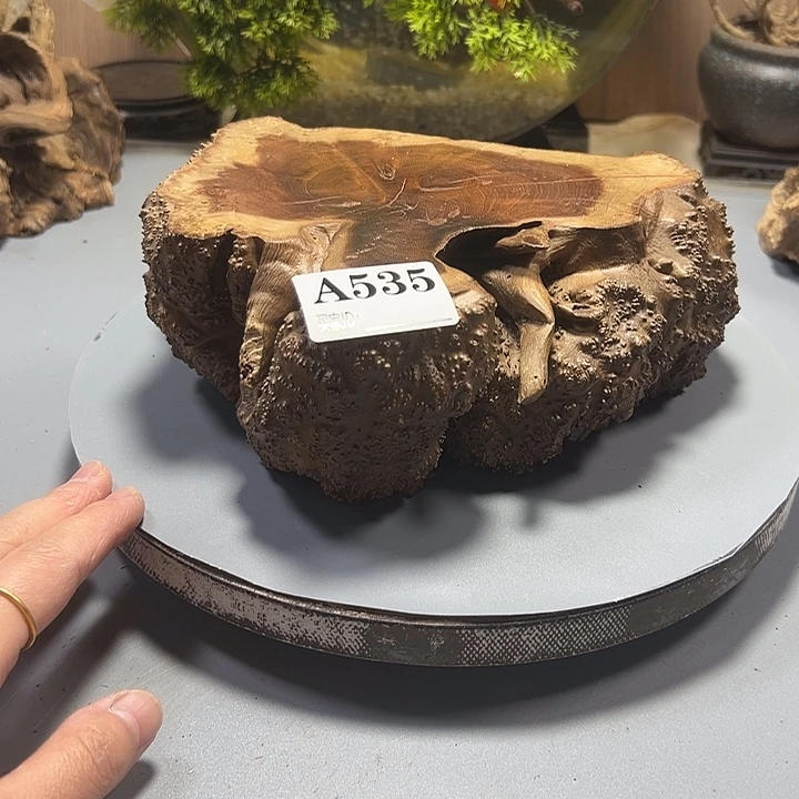 伍***堂大果紫檀（缅甸花梨）