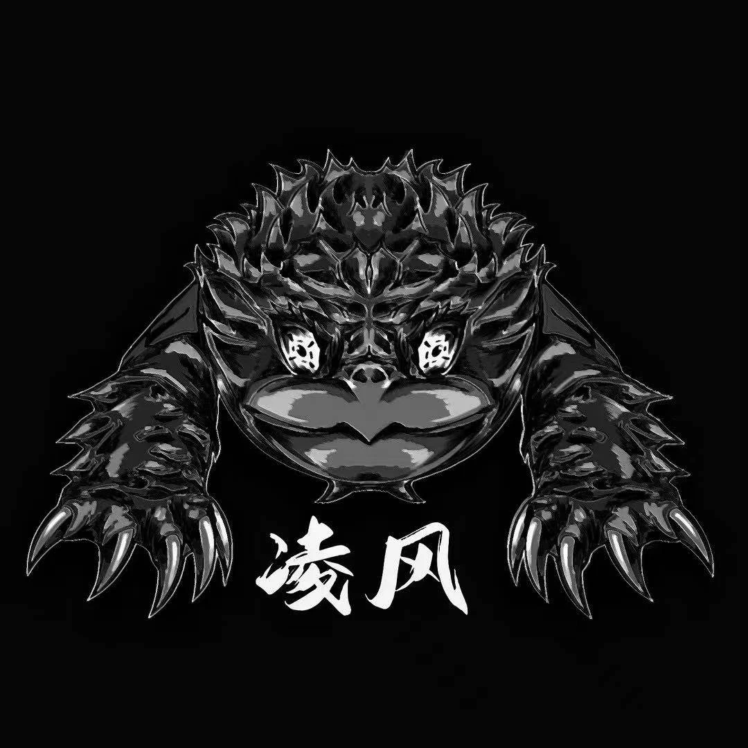 凌风严选原后拟鳄龟