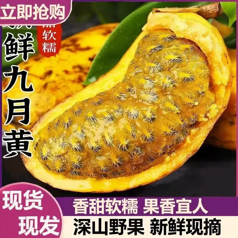 江西九月黄新鲜水果牛卵坨木通科野香蕉当季水果香甜软糯榴莲
