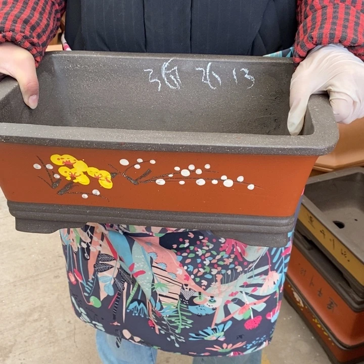 花盆紫砂只顾看剧还