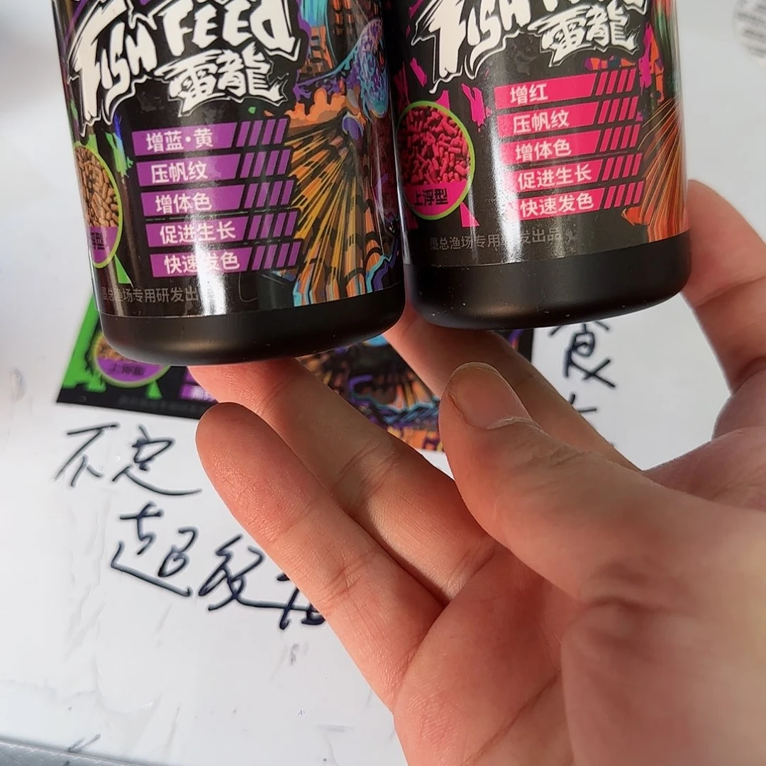 热带鱼公10111111