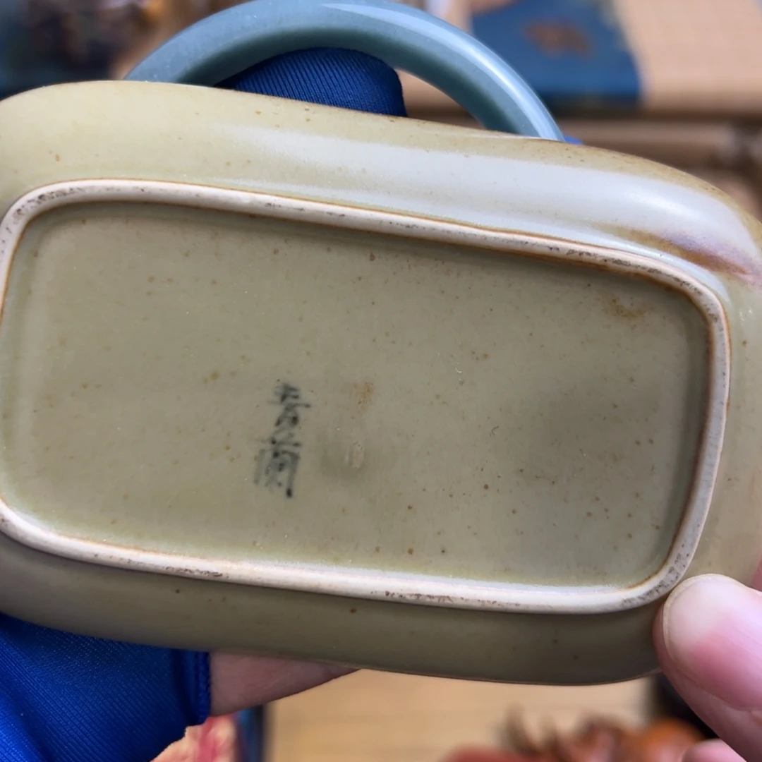 茶宠哈哈哈哈哈哈哈哈哈哈哈哈哈哈