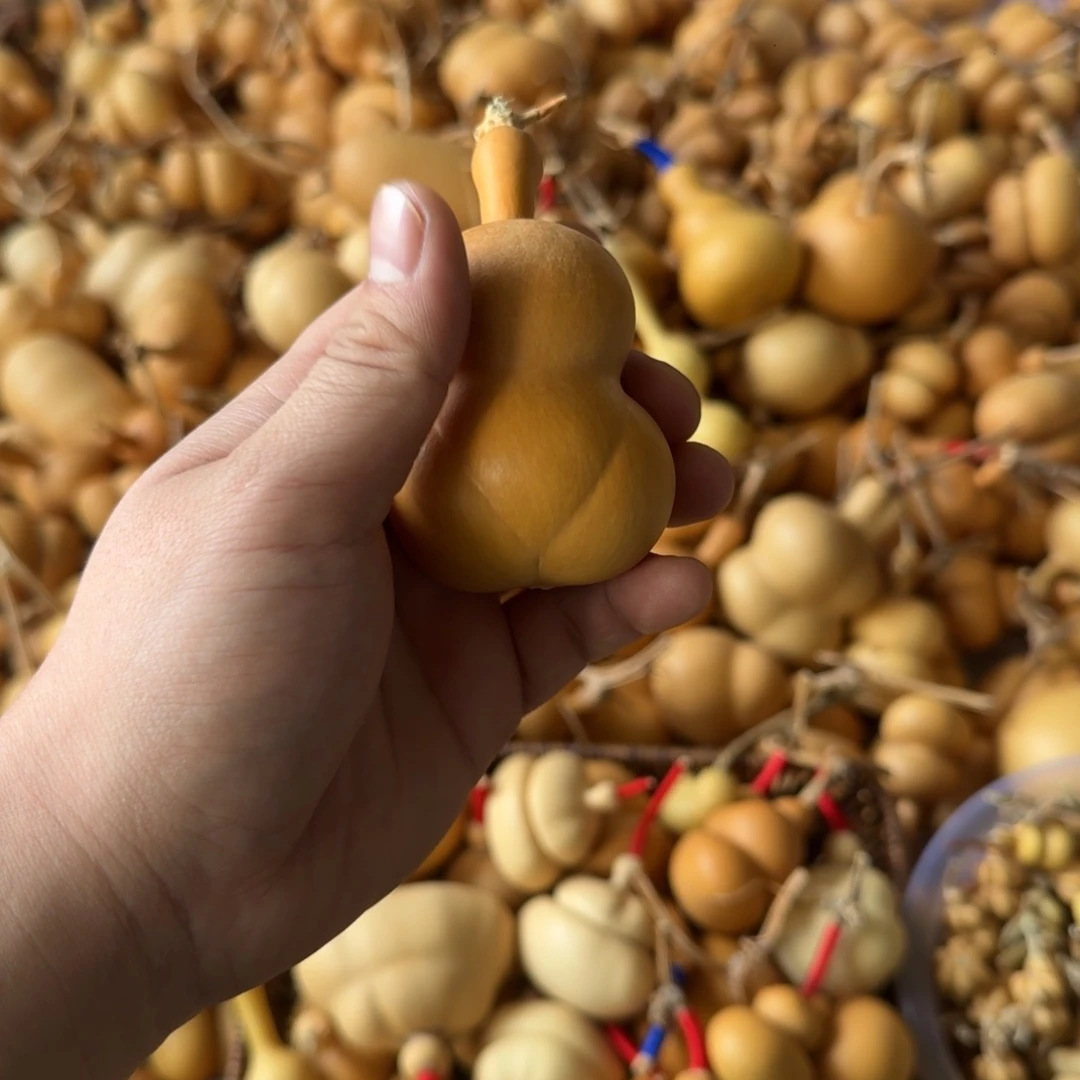 奶***怪葫芦等多种颜色可供选装