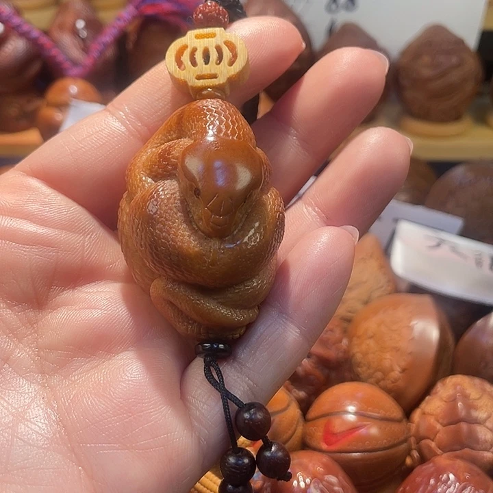 巴西大橄榄遐思不退不换