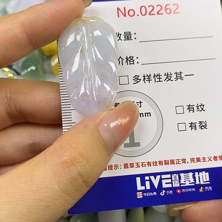 翡翠未镶嵌颈饰我