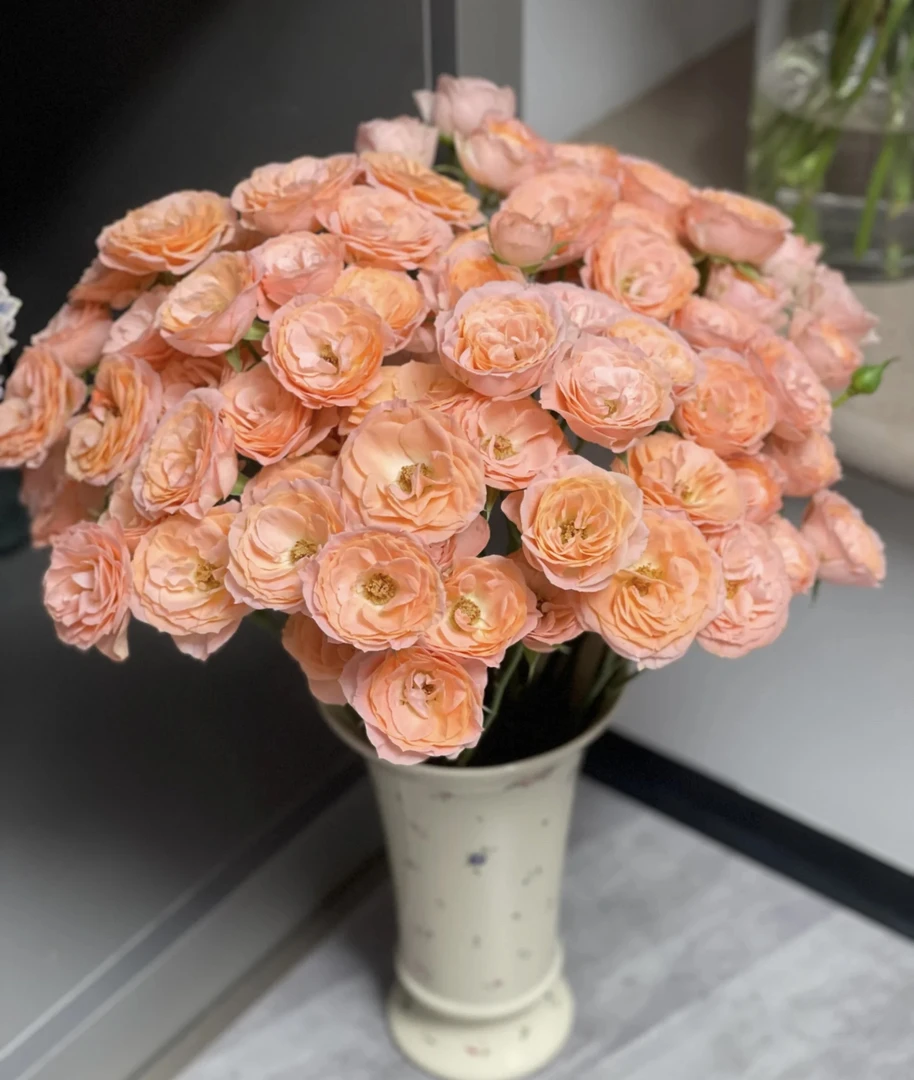 特价多头米奇玫瑰（不售后）