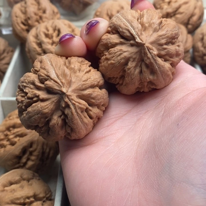 @***物文玩核桃吊坠霸王龙