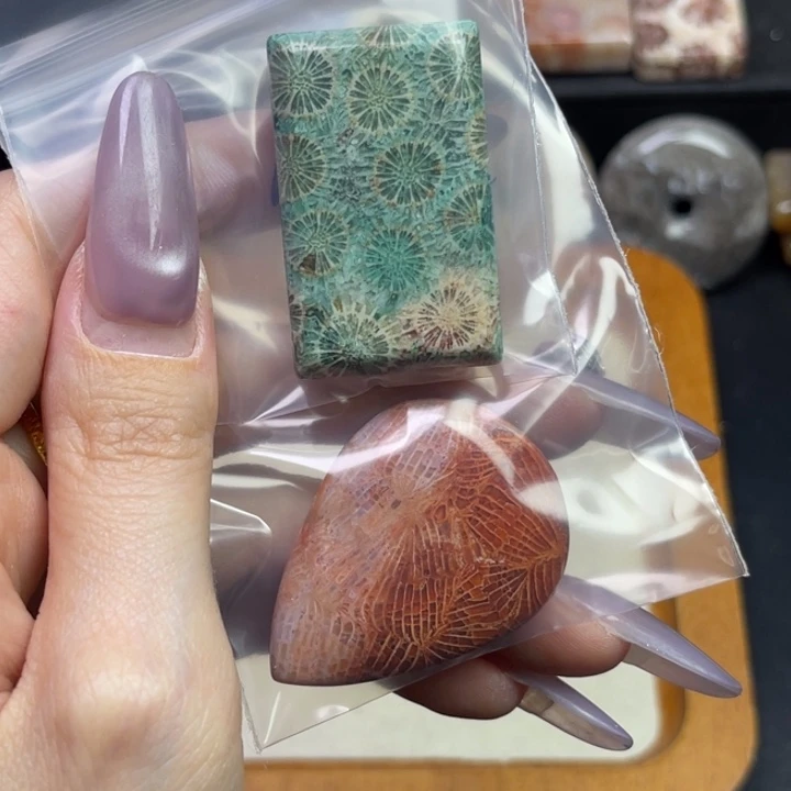 未镶嵌吊坠硅化珊瑚（珊瑚玉）