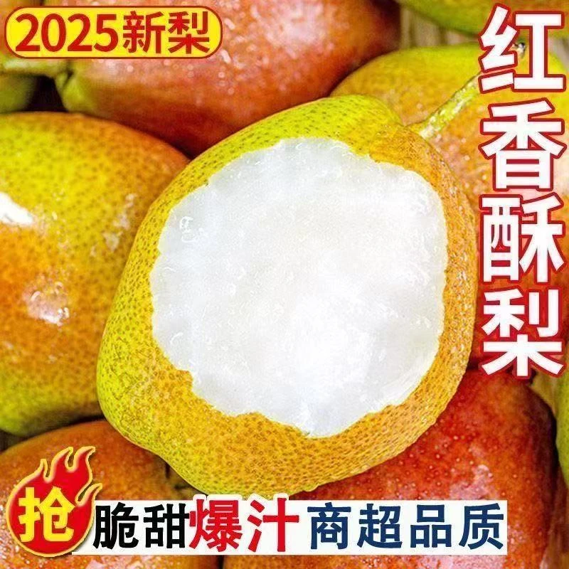 山西运城红香酥梨带箱3斤装新鲜当季红香酥梨脆甜多汁薄皮水果