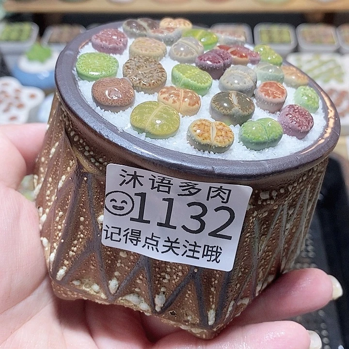 一物一拍 所见即所得 1132