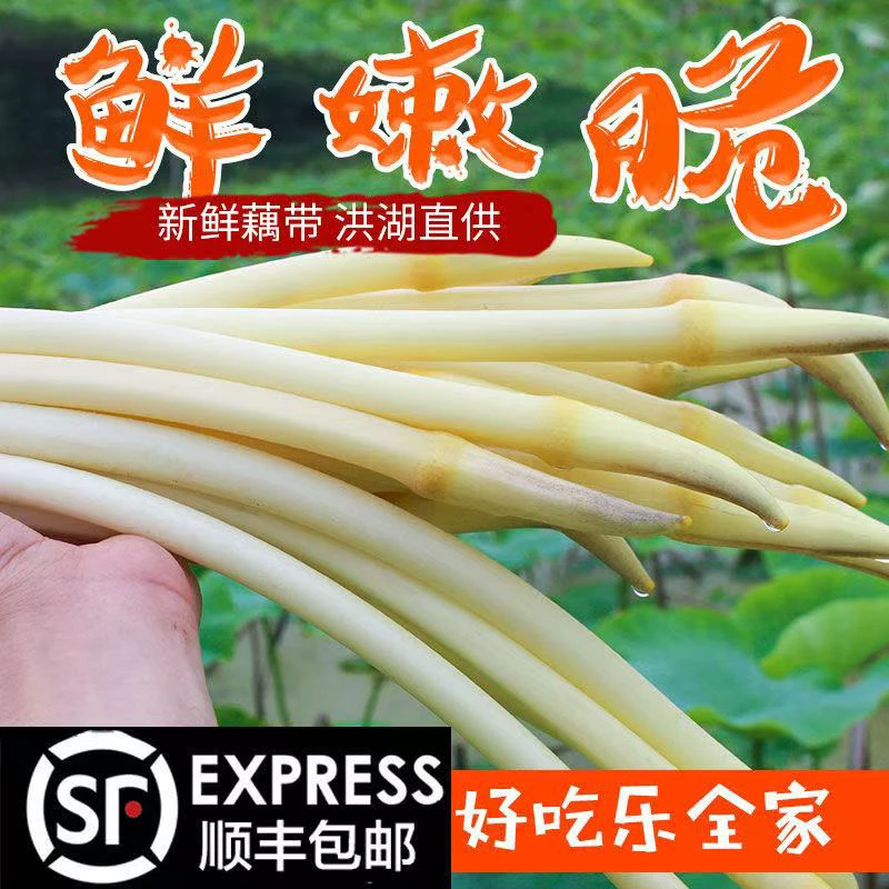 洪湖新鲜藕带产地现抽现发脆嫩好吃农家自种时令蔬菜（顺丰包邮）