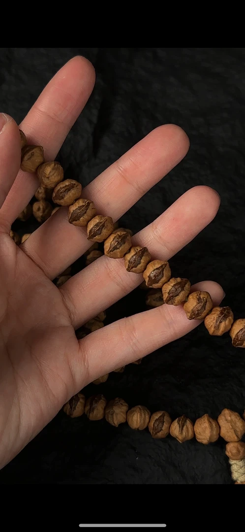 【稀罕巨物】9+原装红芽横打高油高密