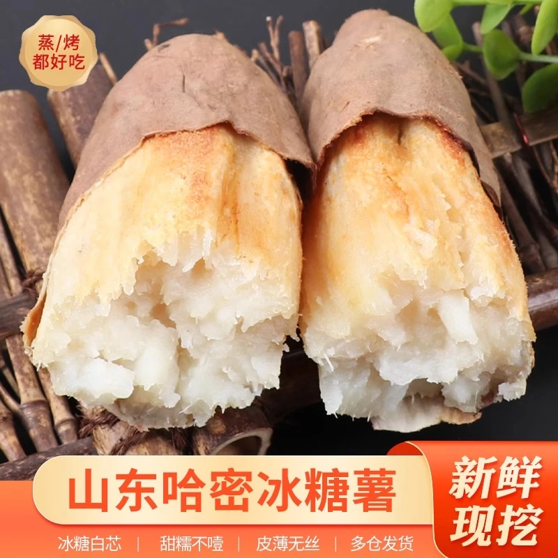 山东哈密冰糖薯白心红薯地瓜番薯白薯中果食用农产品3/5斤大果