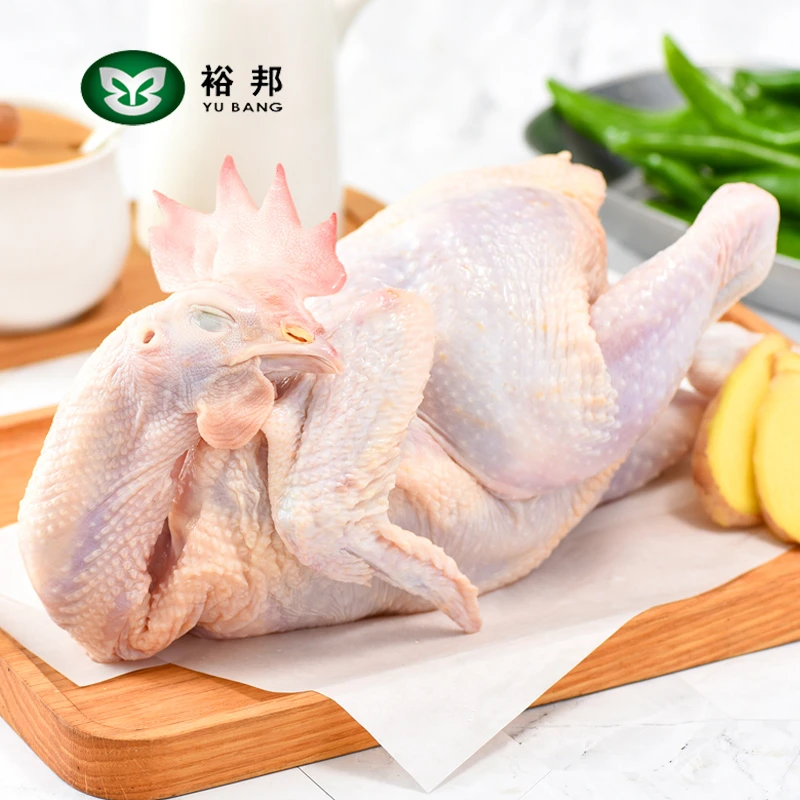 裕邦农场 老母鸡 山地散养土鸡1200g走地鸡土鸡汤D