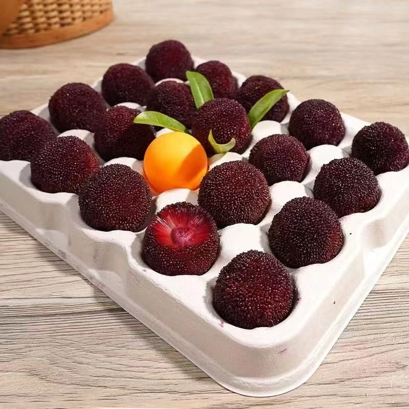 【礼盒装】正宗云南石屏东魁杨梅新鲜孕妇时令新鲜水果送礼云南杨梅