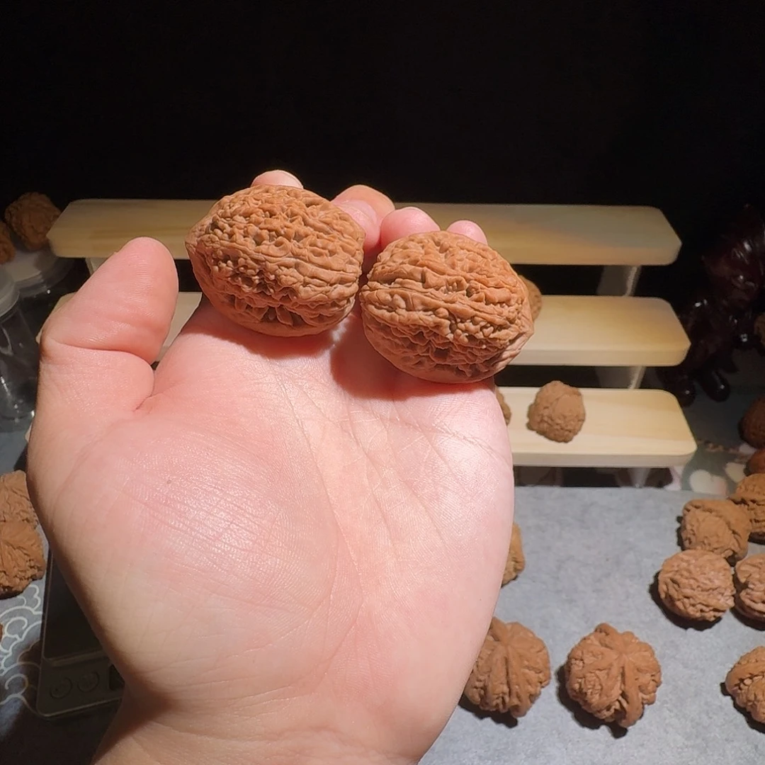 大叶紫檀（黑酸枝木类）