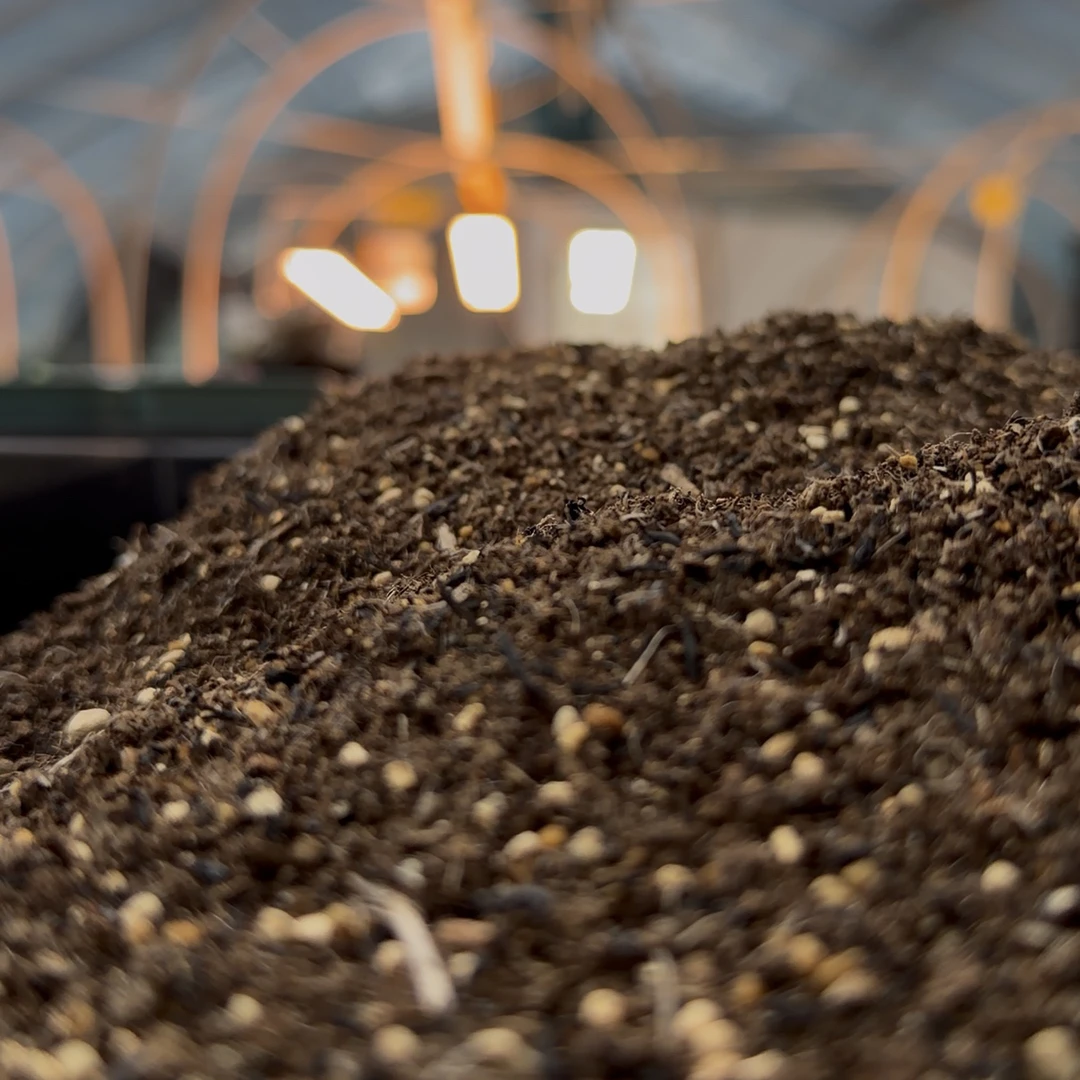 肉锥播种土/育苗土 易发根度夏多肉植物营养土配土过筛