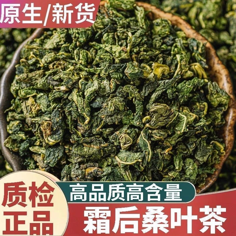 啊影寻百草  黄山高山霜后老桑叶茶可泡水喝