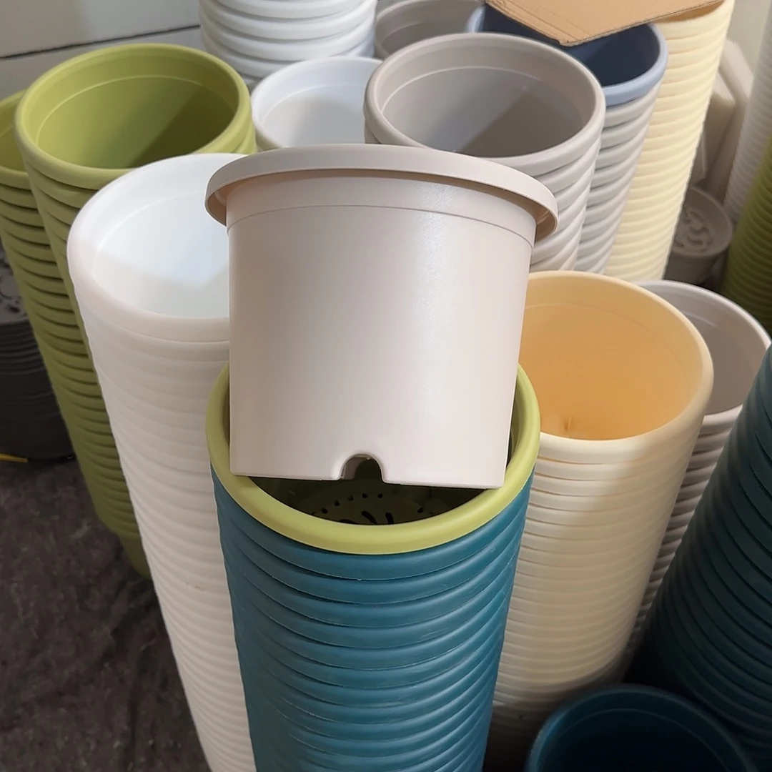 微瑕3号10个无托，灰白