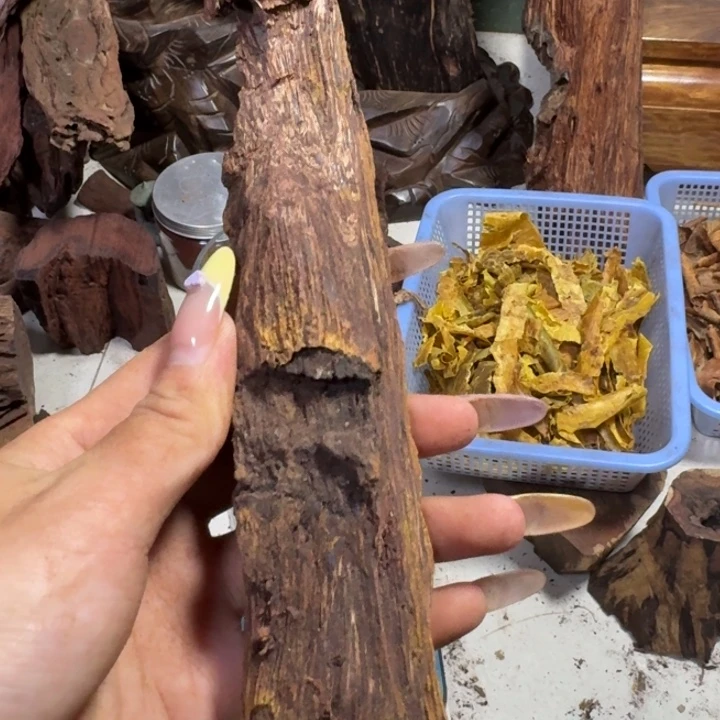 花梨木类泓*海南大叶