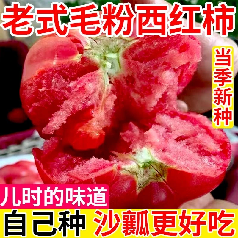 【毛粉番茄种籽】一包也包邮