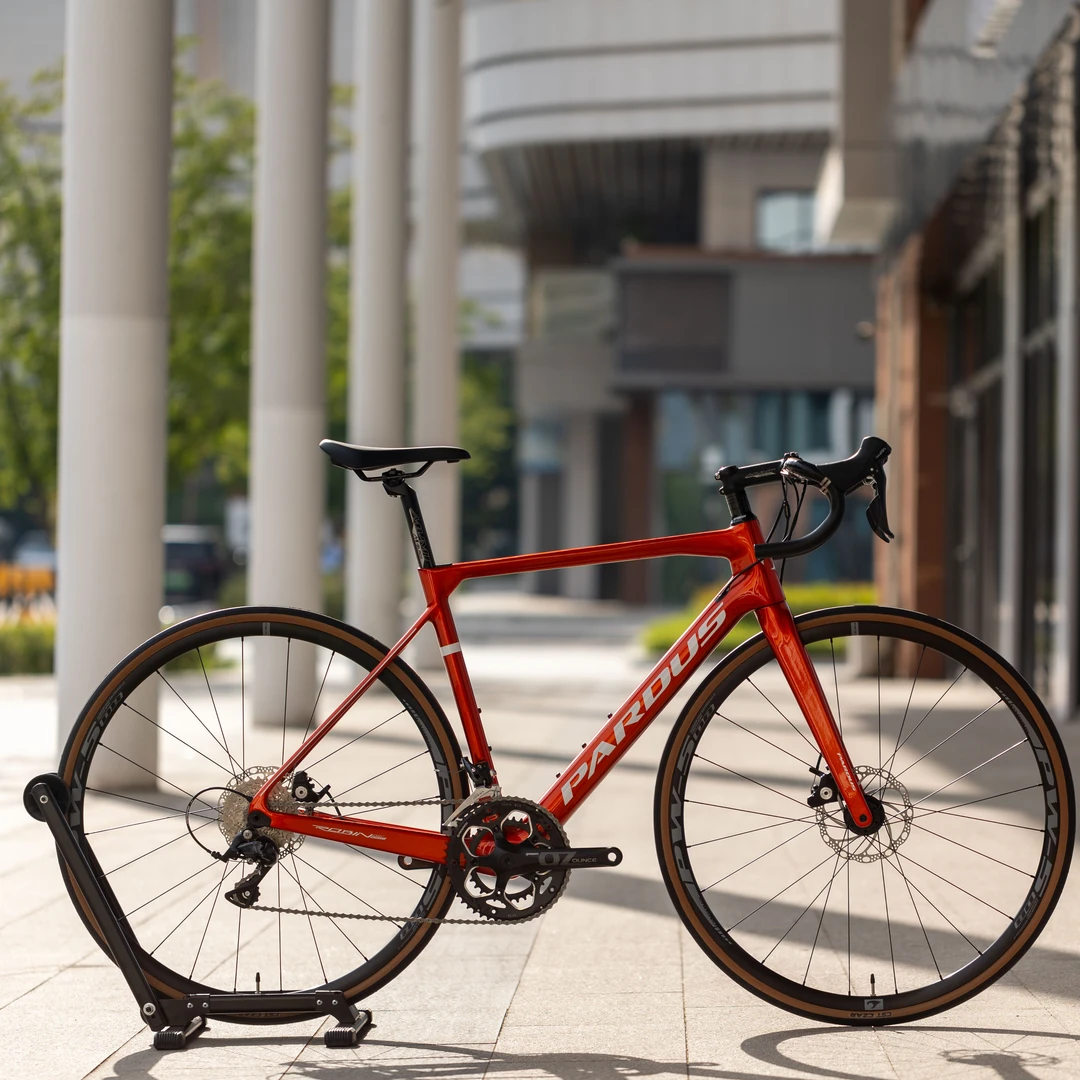 PARDUS瑞豹老款ROBIN SPORT公路车展车 碳纤维瓜车展车