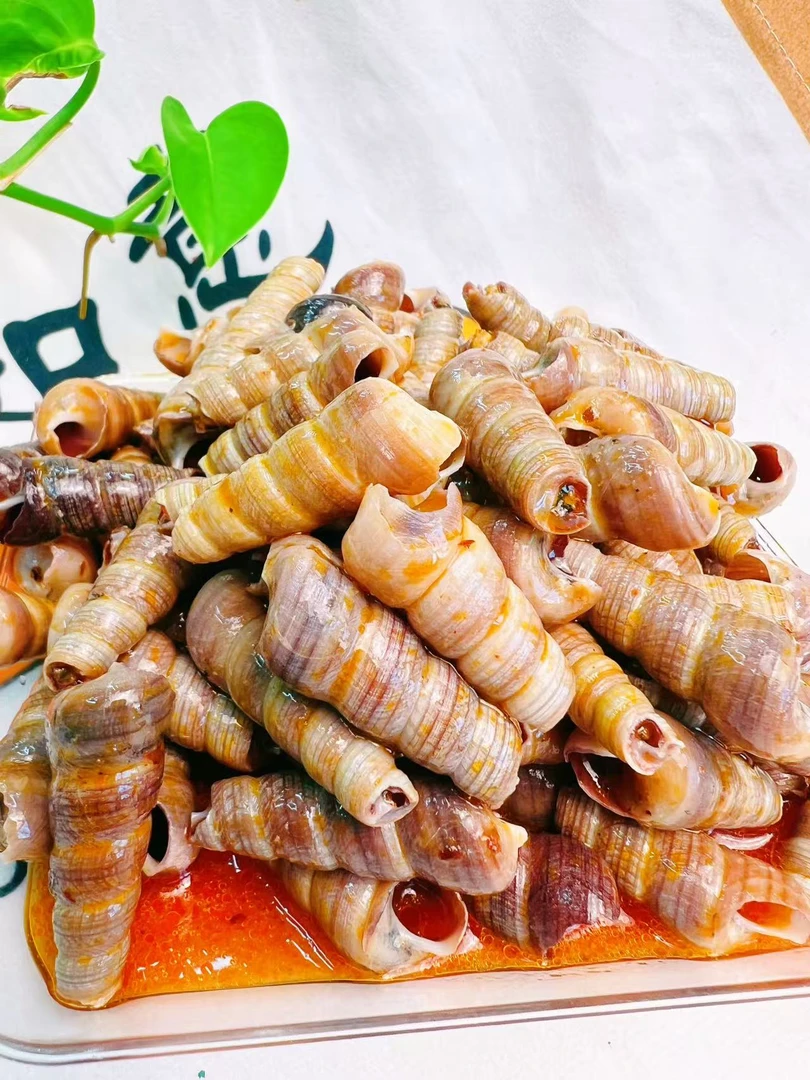 【辣炒钉螺】即食海螺海鲜去尾锥螺休闲零食顺丰包邮