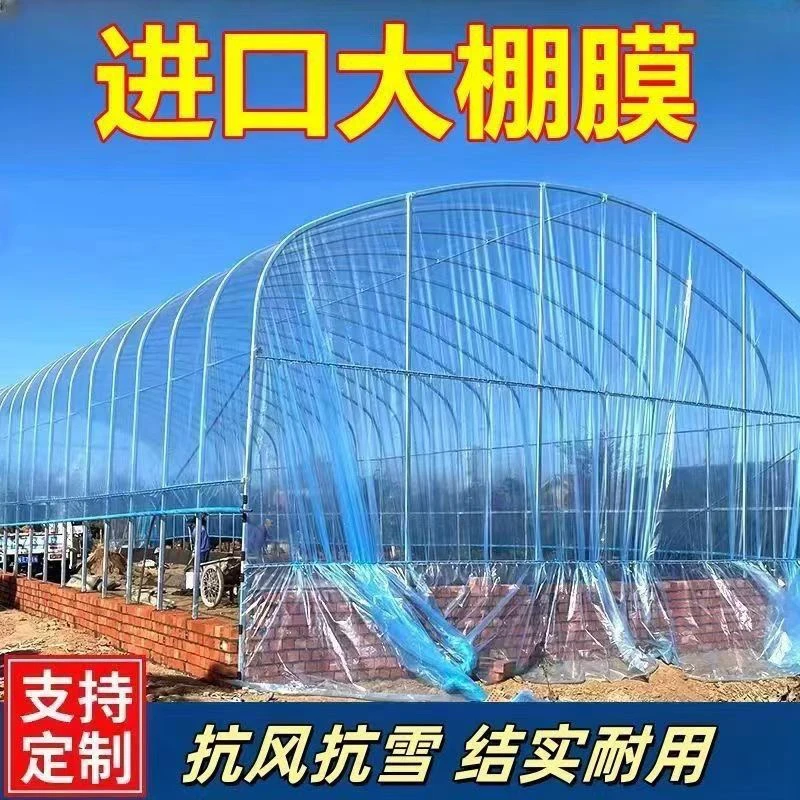 蓝色加厚无滴透明保温大棚塑料膜适用于蔬菜养殖