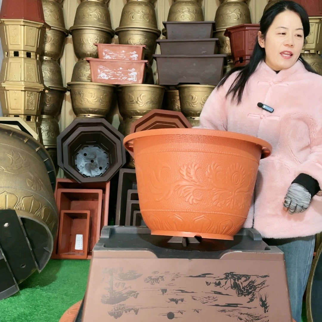 圆盆红色五零四个