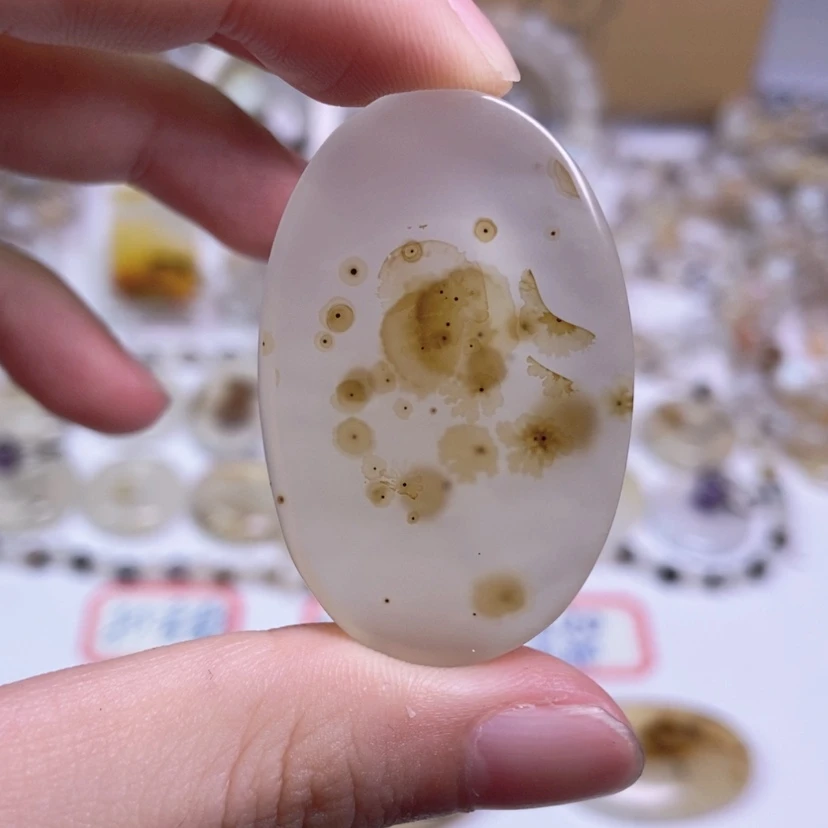 【闪购商品】玛瑙/玉髓颈饰合金