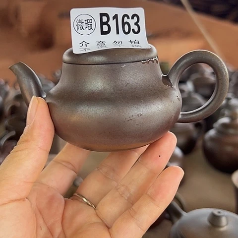 戬谷龙窑柴烧茶壶163