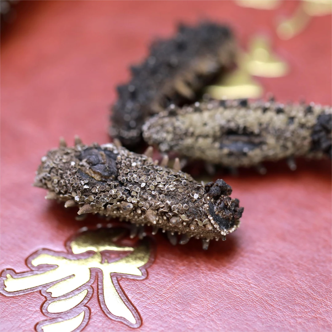 【纯日晒】底播纯淡干海110-120头 顺丰包邮