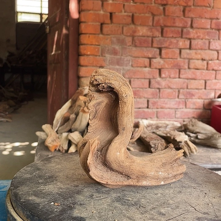 真***诚柏木崖柏崖柏崖柏崖柏