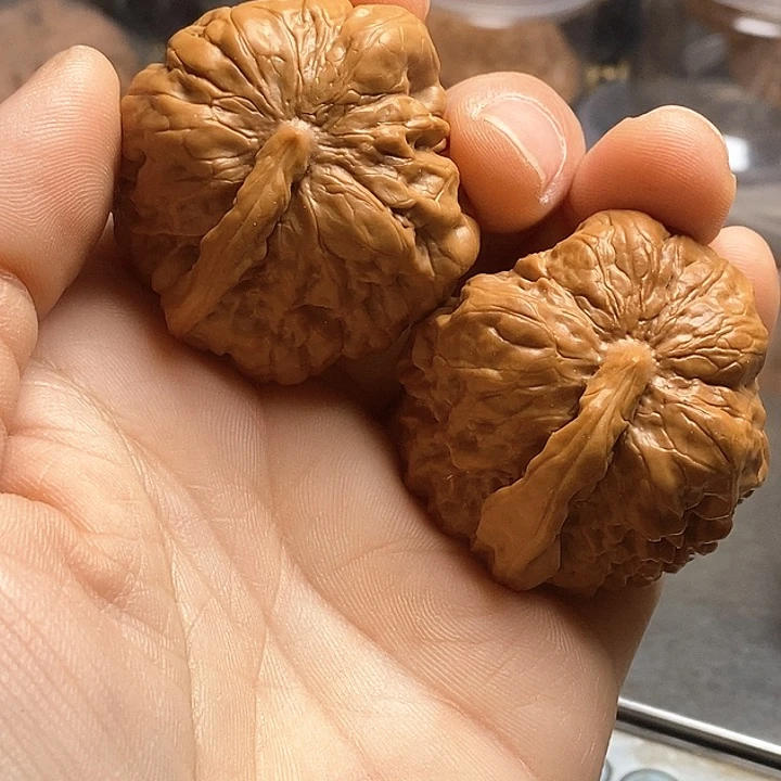 桃核把件44蛤蟆头一根筋