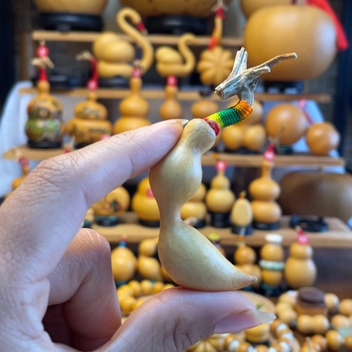 ?***康天然葫芦自然生长