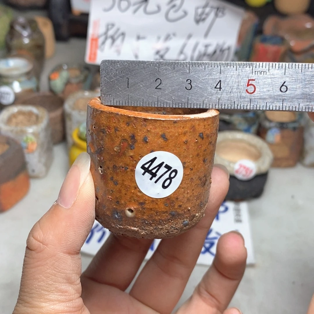拍5送一个小礼物