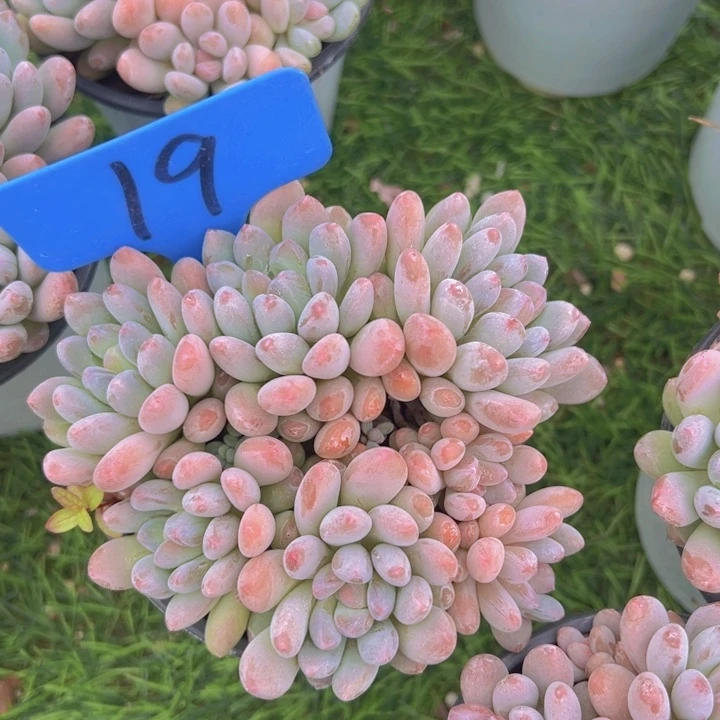 健健康康平平安安