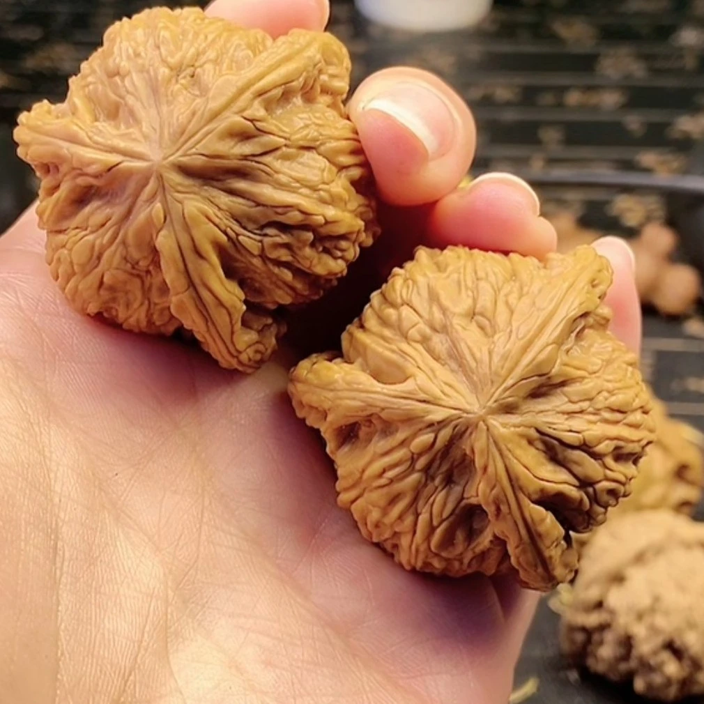 1直播间磨盘官帽元宝招财鼠南瓜墩核桃定拍链接（禁止私拍）