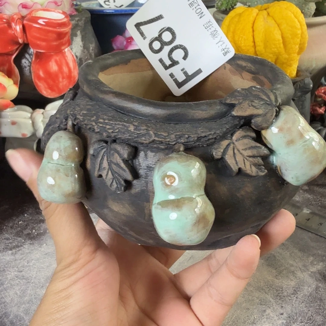 重庆小燕子欢迎大家，587