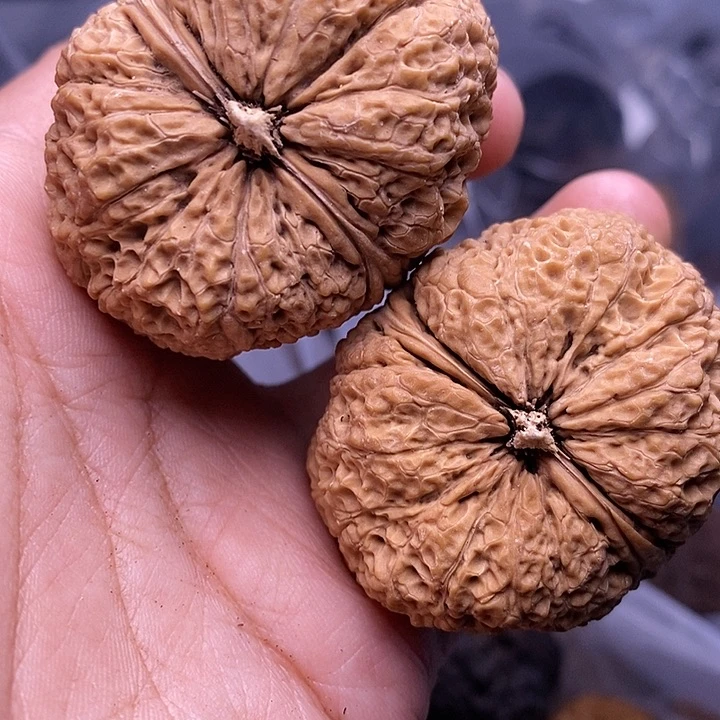 落***年文玩核桃把件   260