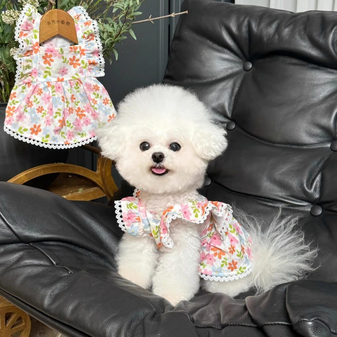 夏日美衣优雅宠物衣服碎花飞袖公主裙狗狗猫咪薄款防晒裙子透气yj