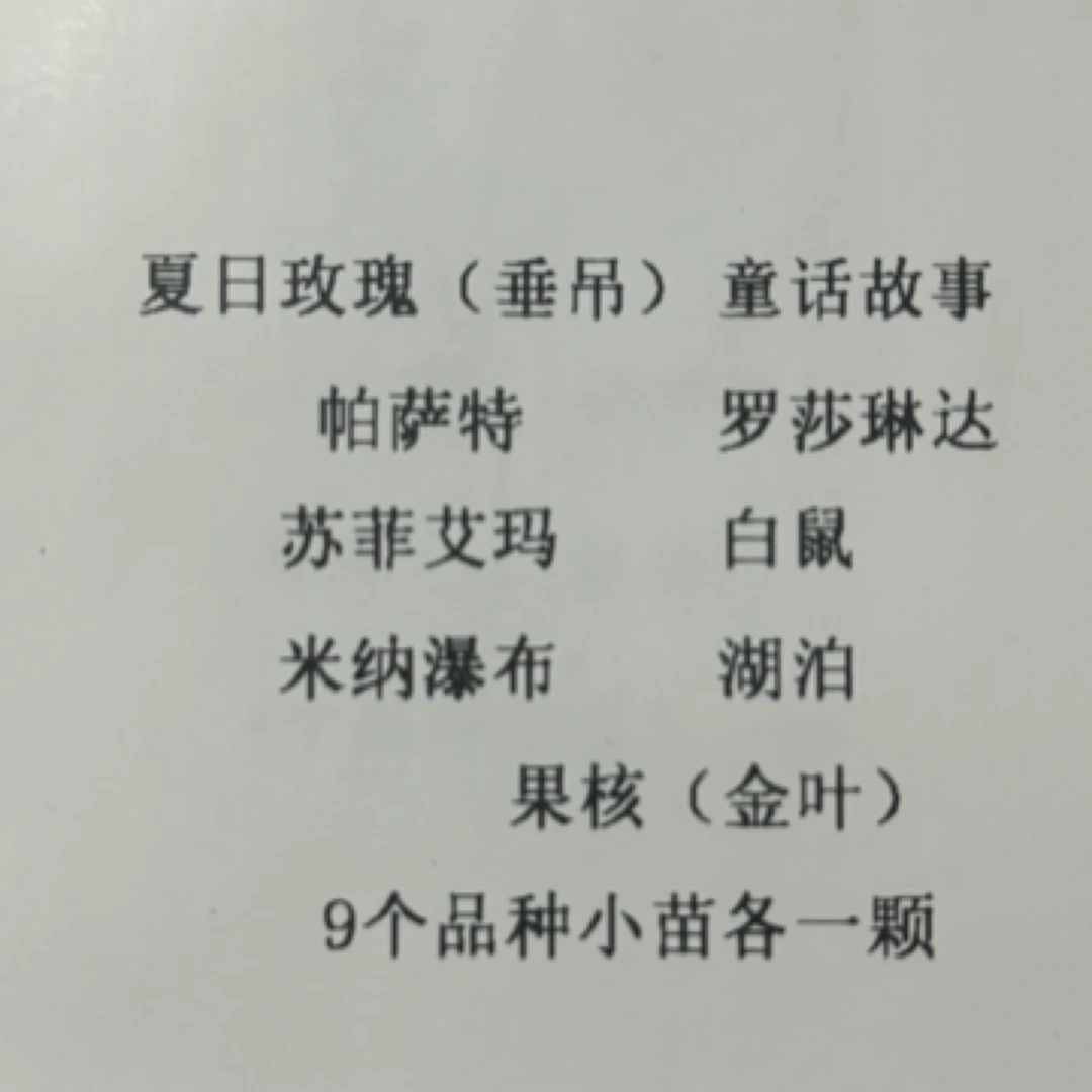 [2号套餐小苗]9颗重瓣天竺葵+垂吊天小苗包对版