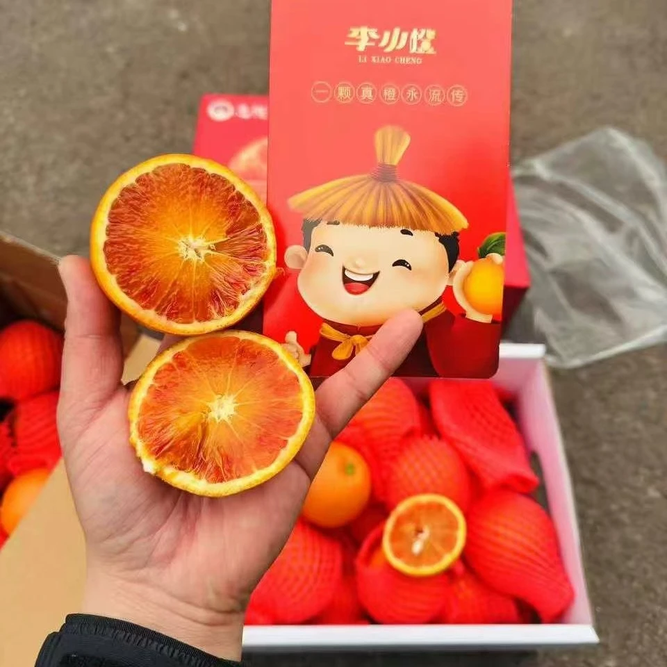 李小橙血橙净重4斤血橙